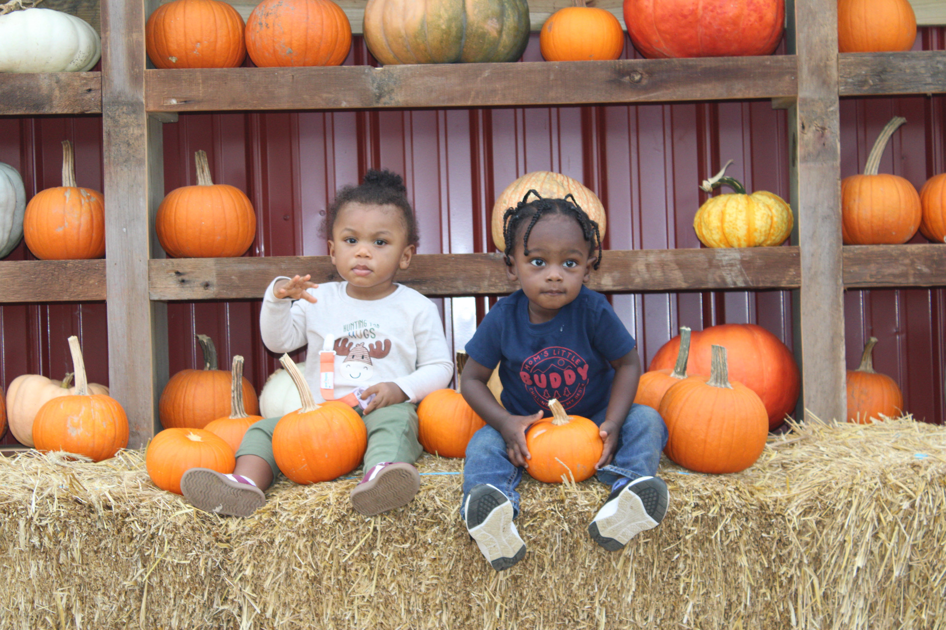 Two toddlers sitting on a hay bale surrounded by pumpkins at an upstate New York farm