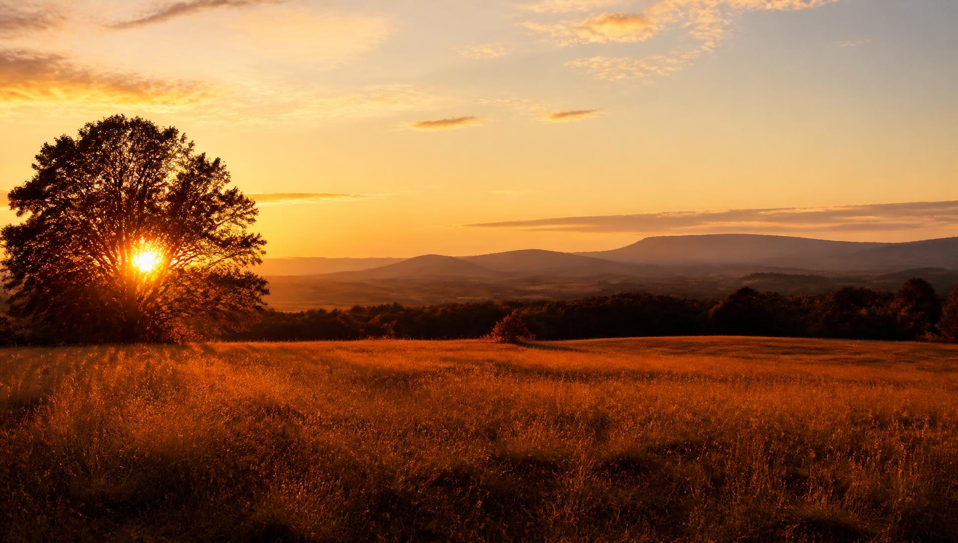 Golden hour light across an upstate New York field